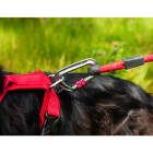 Mountain Paws Leine Rope Lead rot