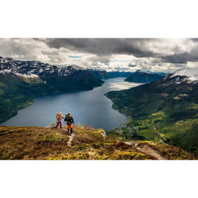 Swix Sonic Mountain Pro, Carbon- verstellbare Stöcke für Trekking und Nordic-Walking