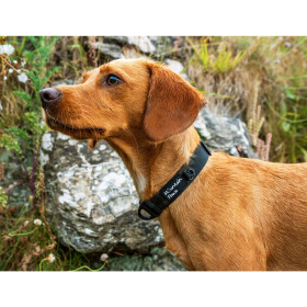 Mountain Paws Hundehalsband, 360-580 mm schwarz