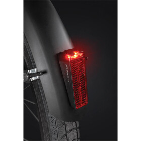 AXA Rücklicht Nyx E-Bike Signal