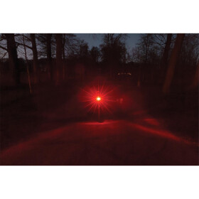 AXA Rücklicht Juno E-Bike Signal 80